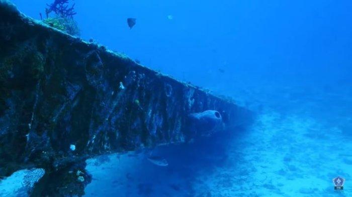 3 Spot Diving di Biak Numfor Papua, Bisa Lihat Bangkai Pesawat